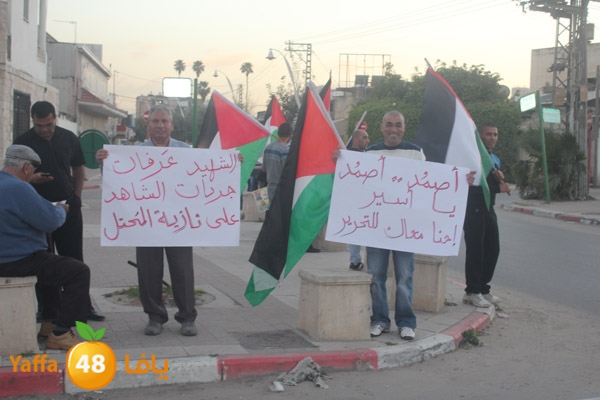 tdludasra43 (20).JPG